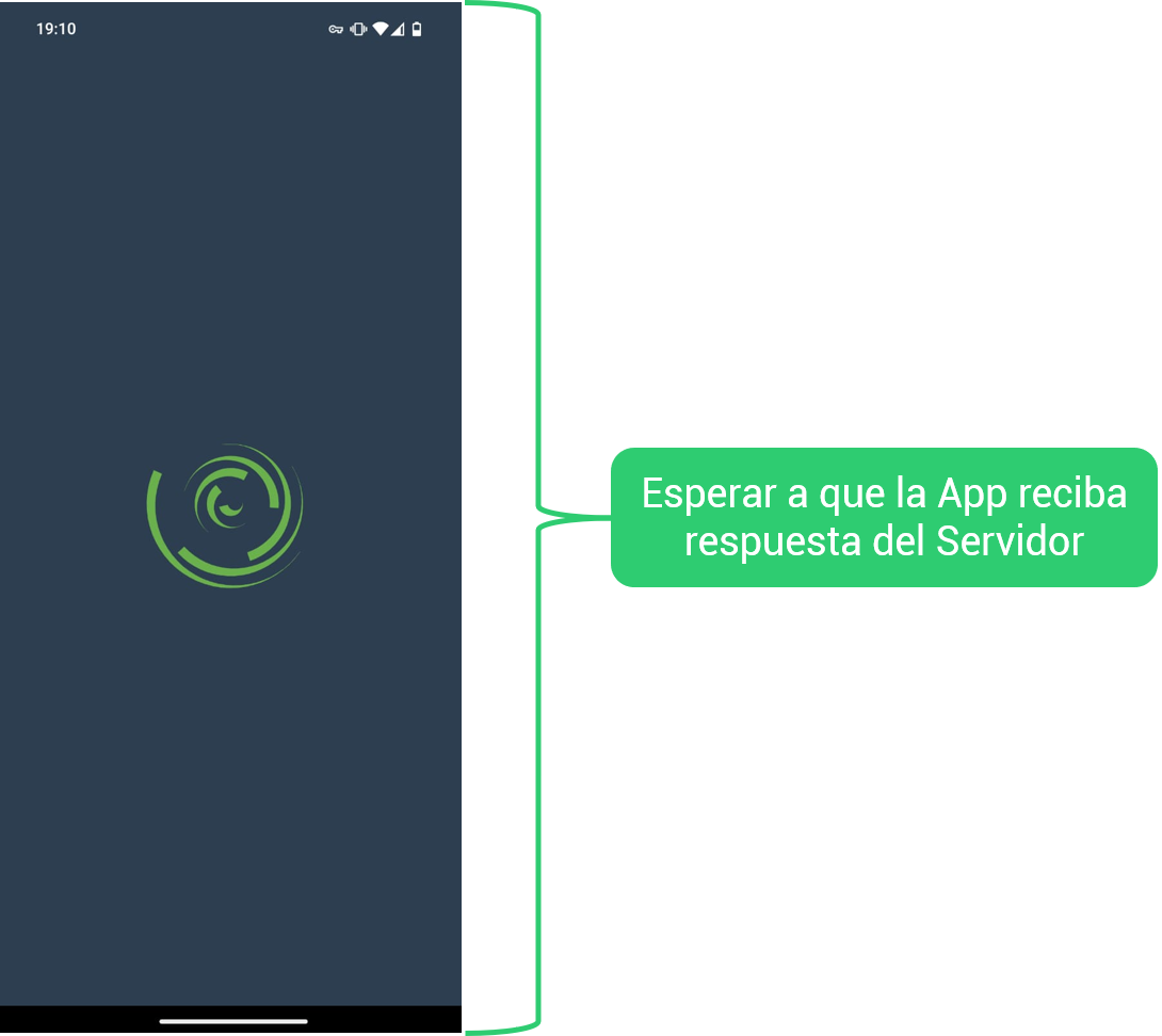 Paso 5